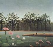 Henri Rousseau The Flamingos china oil painting reproduction